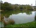 Looking across the pond at Burgh Heath