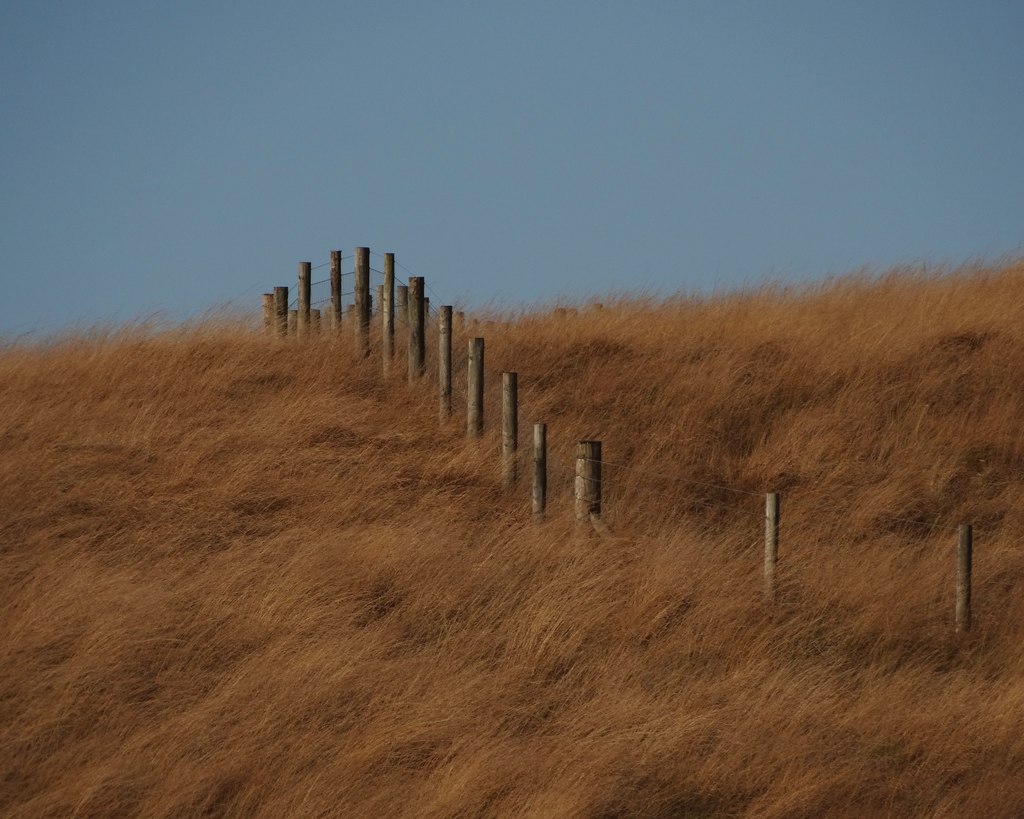 Fencing on Great Butterly Hill © Neil Theasby cc-by-sa/2.0 :: Geograph ...