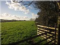 Field, Tilland Road Farm