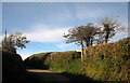 Lane junction, Coombe