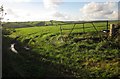 Field entrance, Coombe