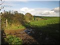 Muddy gateway near Trehunist