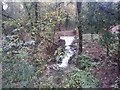 Waterfall in Timbersbrook