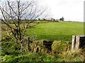 Aghnamirigan Townland