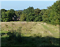 Path heading towards Vercor Close in Agar Nook