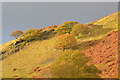 Sunlight above Cwm Mwyro