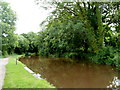 Canal east of bridge 131 in Llangynidr