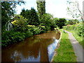 Canal west of bridge 131 in Llangynidr