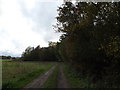 TM3770 : Farm Track near Big Wood & Wood Cottage by Geographer