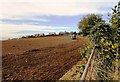 Tractor in field at Hawthorn Village