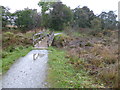 The Great Glen Way at Inverlochy