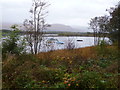 The Great Glen Way near Inverlochy