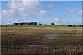 SD4353 : Stubble field near Cockersand Abbey by Ian Taylor