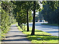 Footpath along Stephenson Way in Coalville