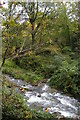 Confluence of stream with River Valency