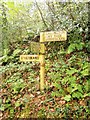 Signpost by Bramble Wood