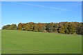 Fields on the edge of Cannock Chase