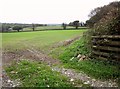 Field near Rill Farm