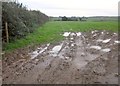 Field near Callington