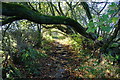 Path near Red House Farm