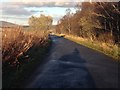 Minor road near Ruthven