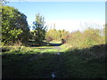 Bridleway at Thorpe Hesley