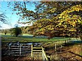 Stinchar Valley View