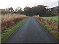 Minor road near Cruchie