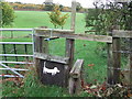 Stile With Dog Gate