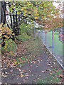 Footpath - Balne Lane