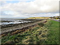 Beauly Firth at Charleston