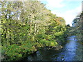 The River Dart below New Bridge