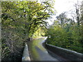 The road from New Bridge, heading towards Ashburton