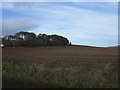 Farmland, New Mains of Ury