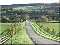 Farm track off North Deeside Road