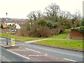 Edge of Liverton Copse