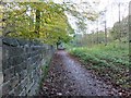 Footpath/cycleway to Wrea Green