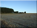 Farmland and woodland