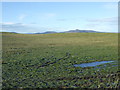 Farmland near Altons