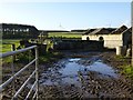 The public footpath goes this way