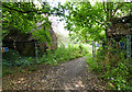 Derelict farm buildings