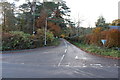 Road to Beeswing from the A710