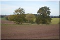 Farmland near Rudge