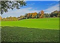 Playing field near Wolverley, Worcs