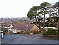 Chichester Close, Exmouth