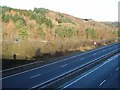 A38 near Chudleigh