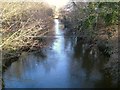 River Teign