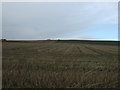 NO8576 : Stubble field, Roadside of Kinneff by JThomas