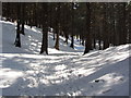 SJ9672 : Deep snow, Macclesfield Forest - Path leading to Forest Chapel by Colin Park