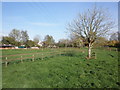 Flood meadow, Tone Valley